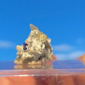 May include: A small, rough-textured mineral specimen with a cluster of light-colored crystals and a deep blue, square-shaped inclusion. The specimen is set against a bright blue sky background.
