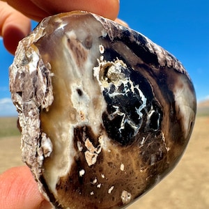 SALE! Was 500 Now 300! Polished Round! Two Polished Sides Rare Limb Cast Agatized Petrified Wood With Incredible Colors Patterns NV, USA!!