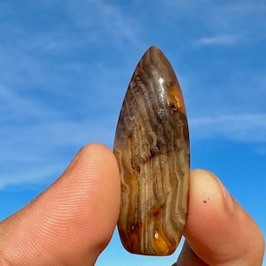 Petrified Wood Cabochon! Highest Grade AAA+ Rare! Stunning Polished High Dome Opal Agate Petrified Wood From Nevada HUGE 50ct+ Opal Wood