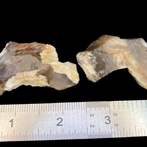 Opal Agate Petrified Wood Mineral Specimen Translucent Crystal Lot of Two Rare Find Incredible Colors Deep Brown Red Orange Amazing Rare