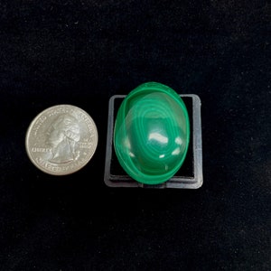Malachite Cabochon Gem Grade with High Luster Large Size Pendant Cabochon Best Highest Quality Patterns and Designs Gorgeous Hypnotic Greens