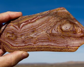 Wonderstone Slab! Wow Complete!! Nevada Rhyolite Slabbed Face Perfect Display! Best Lapidary Special Mineral  Specimen! Ethically Sourced US
