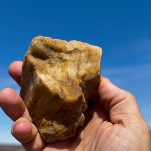 Golden Glittering Sparkling Druzy Petrified Wood!! Beautiful And Rare Ethically Sourced Crystal Glittering 200 Million Year Old Fossil Wood