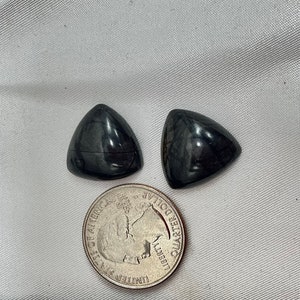 Petrified Wood Cabochon Set AAA+ Onyx Agate High Luster Medium Cabochons Petrified Wood Agatized Wood Amazing Best Quality