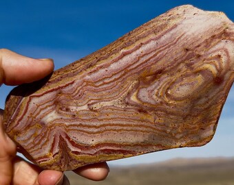 Wonderstone Rhyolite Slab! Wow Complete!! Nevada Rhyolite Slabbed Face Perfect Display! Best Lapidary Special Mineral! Ethically Sourced US