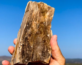 珪化木大宝珠② il_340x270.4974169933_1ref.jpg