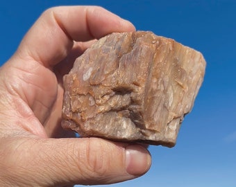 May include: A rough, light brown stone with a textured surface is held in a hand against a blue sky. The stone has a layered appearance with variations in color and texture, suggesting a natural formation.