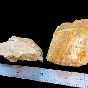 Druzy Crystal Agate Opal Chalcedony Silicate Petrified Wood Incredible Glittering Druzy Covered Wood Rare and Best Crystal Mineral Specimens