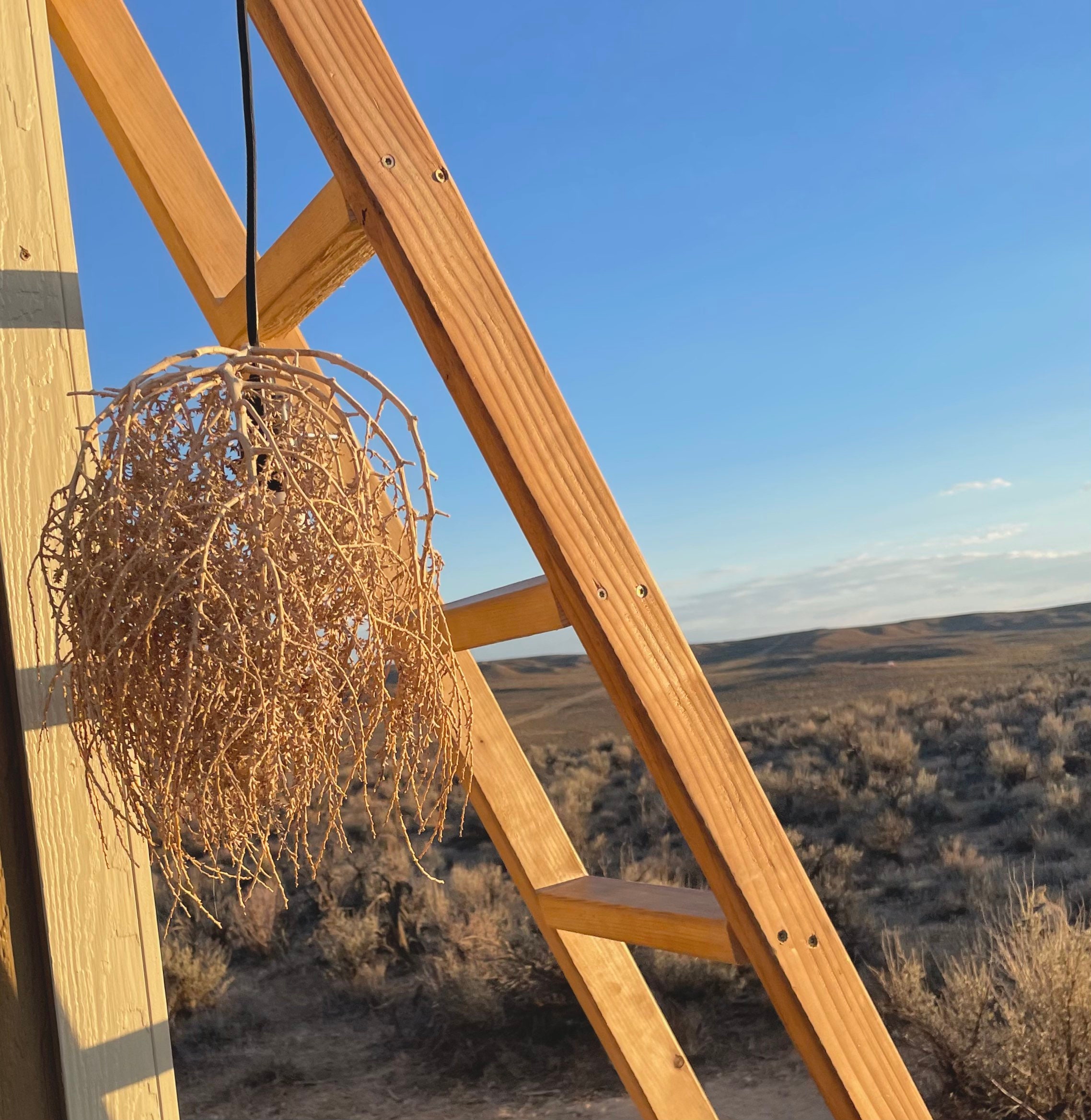 Tumbleweed Chandelier XL Large Medium Small Full Beautiful Etsy