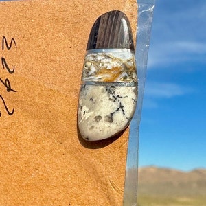 Jasper, Agate, Petrified Wood Cabochon! Highest Grade AAA+ Rare! Stunning Polished High Dome Opal Agate Petrified Wood From Nevada SS Inlay!