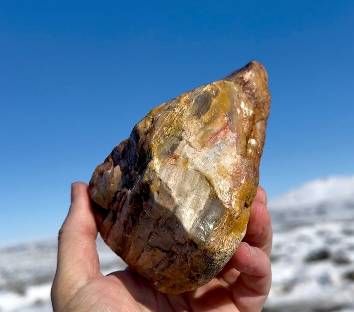 Script Jasper 2.75lbs! Huge Rare Picture Jasper Red Jasper Lapidary Special Largest ...