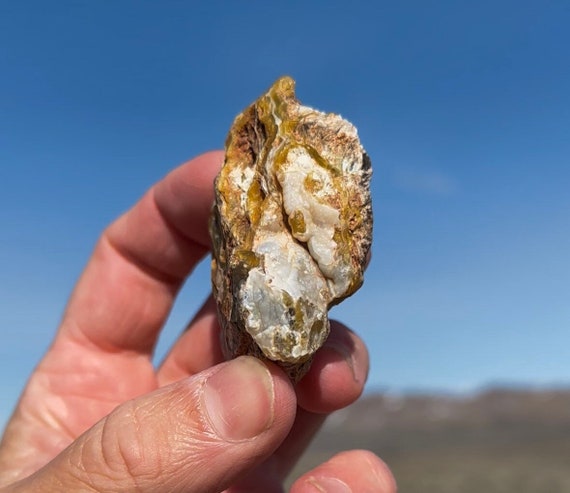 白いブドウ状珪化木！玉髄瑪瑙オパール 2 億年前の化石木、米国ネバダ