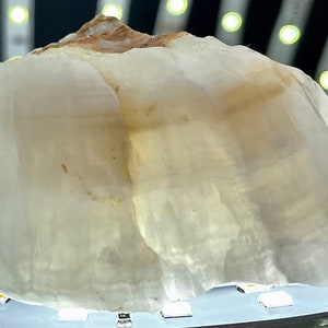Calcite! Rare “Block Calcite” White Transparent Lined Record Keeper Inclusions Calcite With Sandstone from Nevada USA Large Calcite Crystal