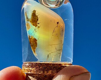 OPAL Sale!! Was 179 Now 99! Wow! Virgin Valley Opal Rare!! 20ct+! Precious Opal STUNNING Best High Fire Opal Contraluz Opal Nevada USA Opal