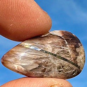 Petrified Wood Cabochon! Highest Grade AAA+ Rare! Stunning Polished High Dome Opal Agate Petrified Wood From Nevada Sterling Silver Inlay!!