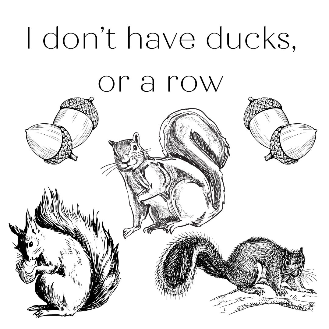 I Don't Have Ducks, or a Row, I Have Squirrels & They're at a Rave