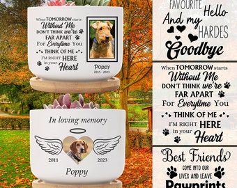Foto personalizzata Pet Loss Succulent Gift / Pet Memorial / Cat Loss / Dog Loss / Pet Sympathy Gift / Custom Pet Loss Mini Plant Pot GIFT
