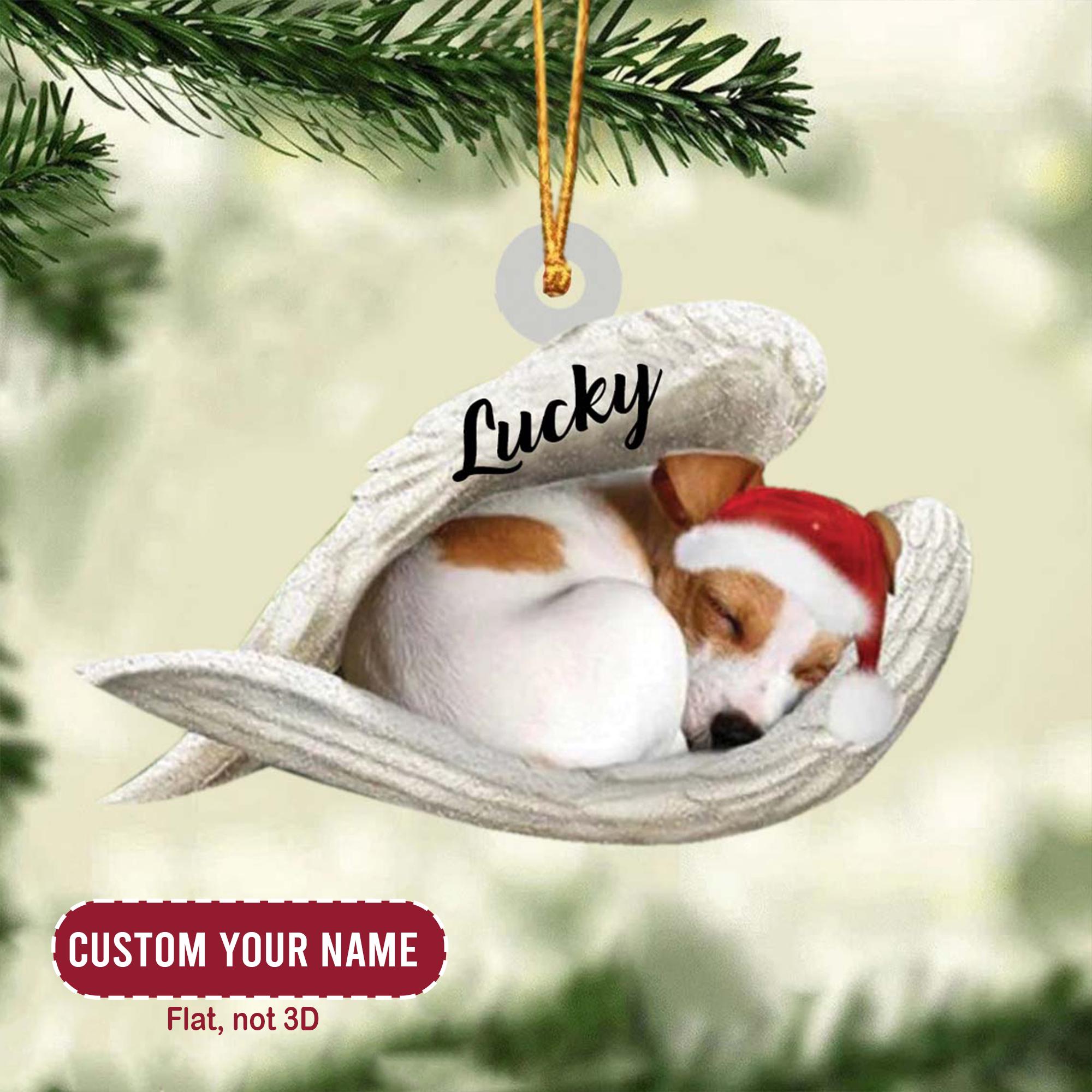 Weihnachten Geschenk Jack Russel Kinderfreundlich Fröhliche