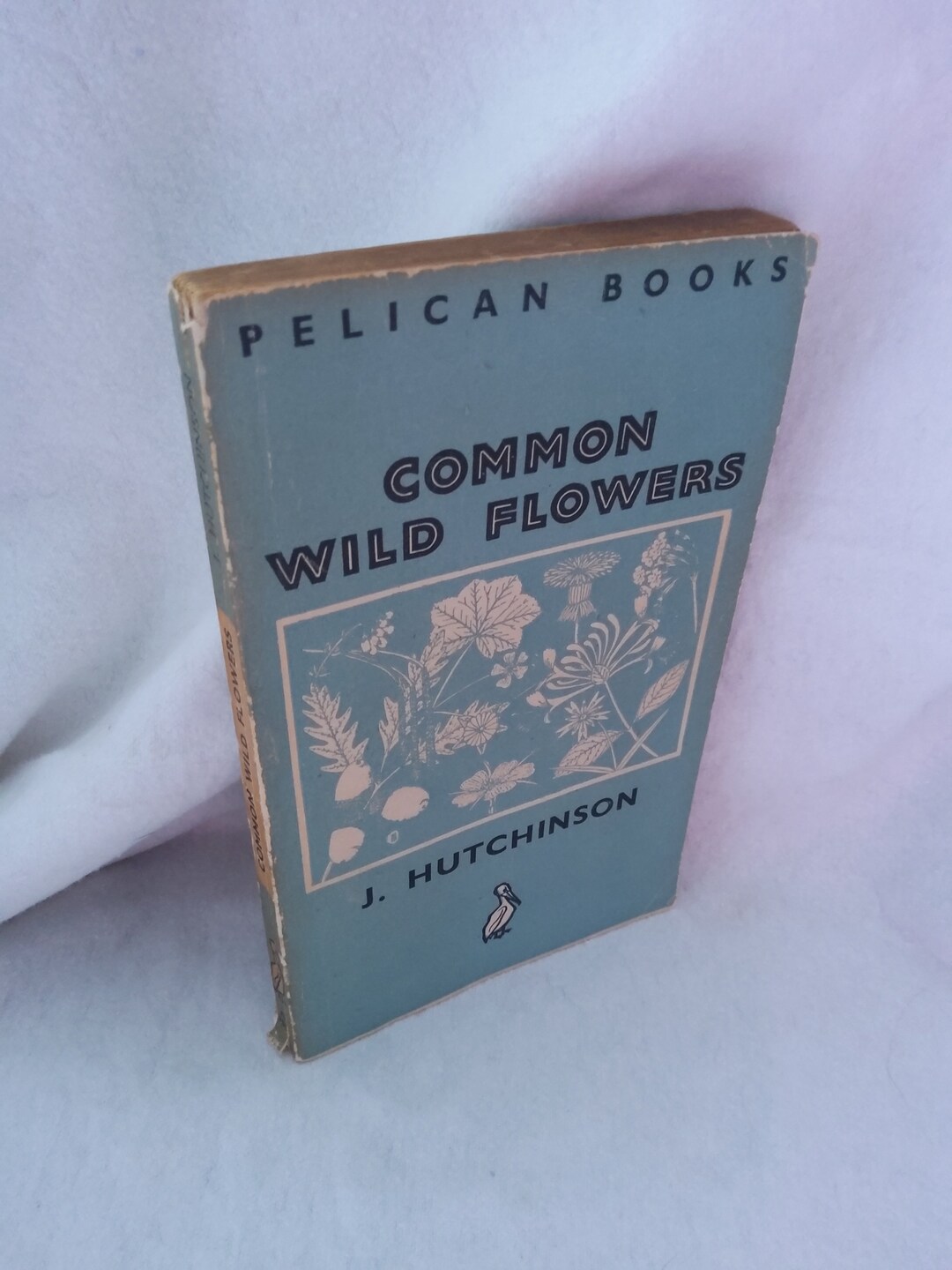 Common Wild Flowers by J Hutchinson Etsy