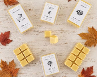 Fall Beeswax Melts