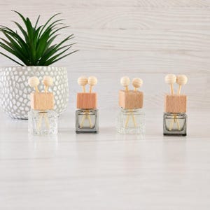 May include: Four small, square, clear glass bottles with light-colored wooden caps and two wooden sticks topped with small spheres inserted into each cap. The bottles are arranged in a row in front of a textured, light-colored, potted plant.