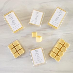 Pure Beeswax Melts