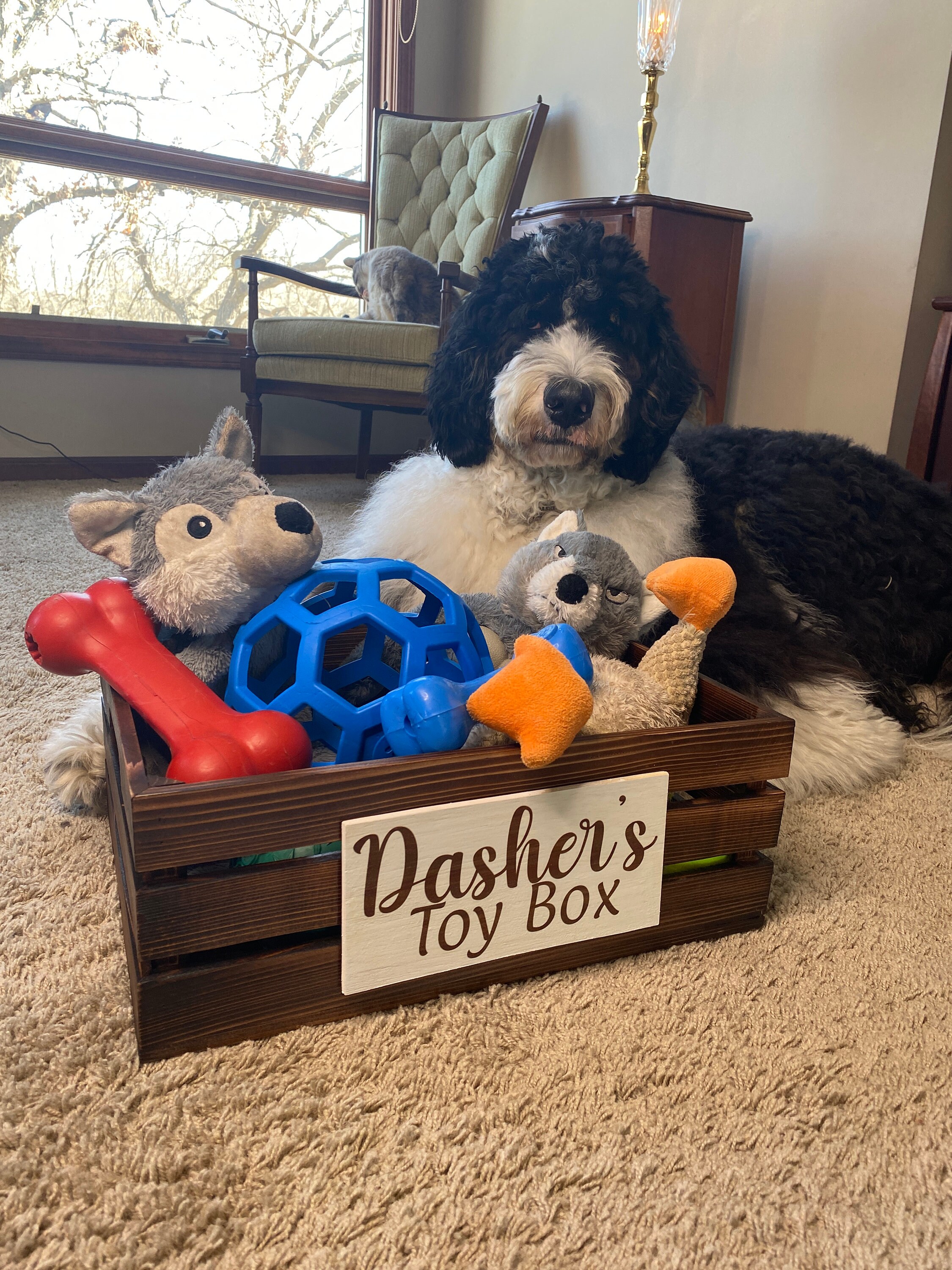 Toy Box Name Sign Toy Box Sign for Dogs Toy Box Sign for Etsy
