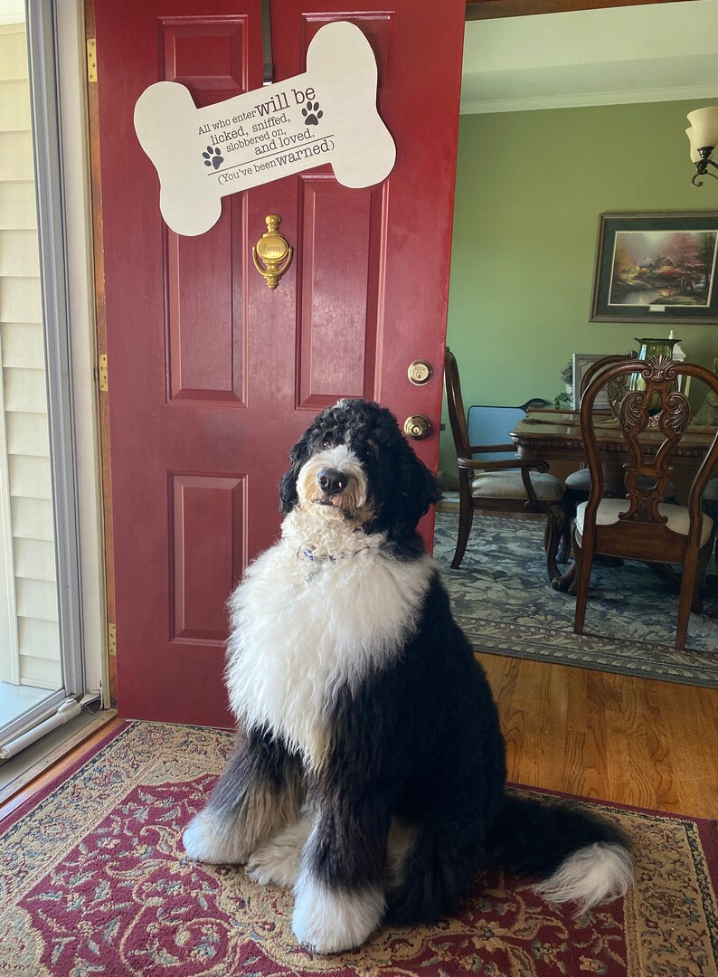 Funny Dog Sign for Home Bone Door Hanger Dog Lovers Sign Funny Dog Door Sign
