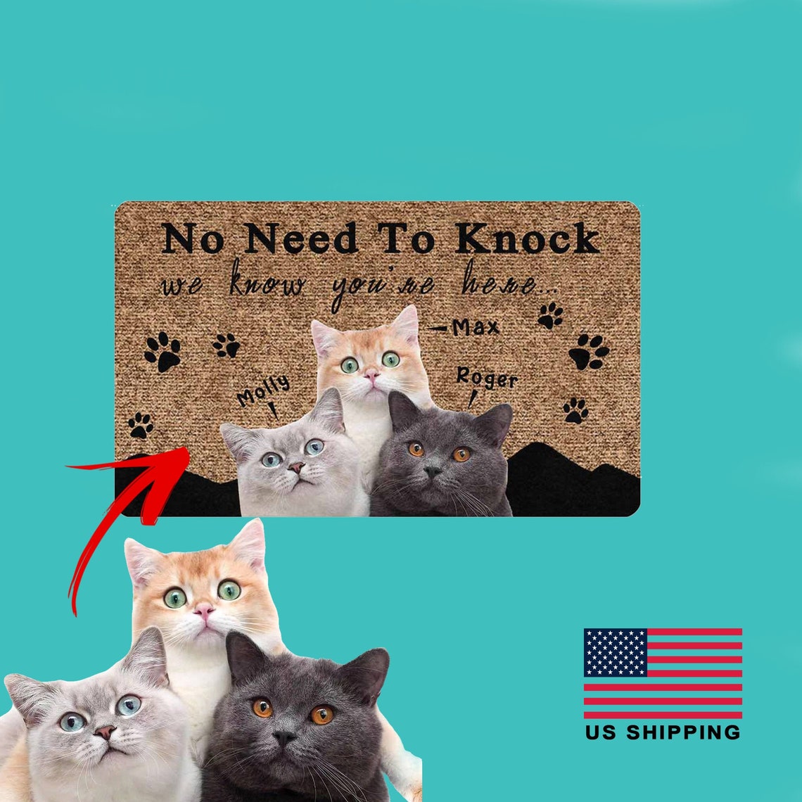 Cat Doormat Funny Personalized Cat Doormat Photo Cat Lover Etsy