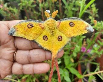 Yellow Luna Moth pendant, Custom Handmade Pendant, Butterfly jewelry, Hand Painted Luna Moth Pendant, realistic pendant, gift for her