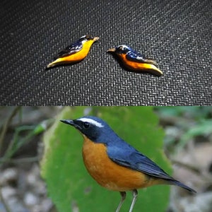 Indian Blue Robin, Handmade Polymer Clay bird Earrings, realistic earring, blue robin earring, minimalist earring, bird jewelry, post/dangle image 2
