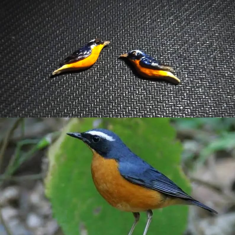 Indian Blue Robin, Handmade Polymer Clay bird Earrings, realistic earring, blue robin earring, minimalist earring, bird jewelry, post/dangle image 2
