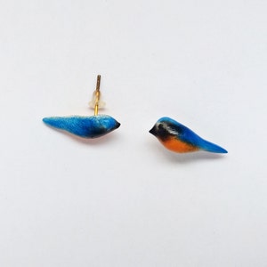 Indian Blue Robin, Handmade Polymer Clay bird Earrings, realistic earring, blue robin earring, minimalist earring, bird jewelry, post/dangle image 4