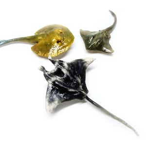 Orecchini personalizzati a forma di razza, orecchini a forma di manta, piccoli orecchini a bottone, orecchini a forma di pesce marino, piccoli orecchini pendenti, orecchini per amanti dei pesci, orecchini realistici