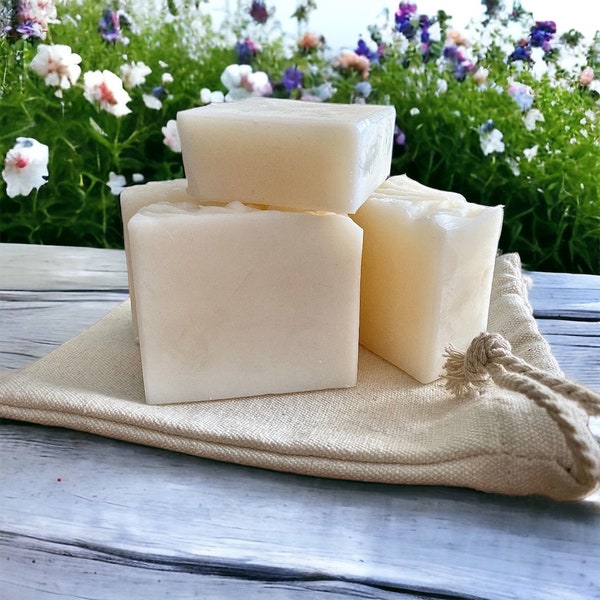 Organic Coconut Dog Shampoo Bar  (Free Delivery on Orders Over 10 GBP)