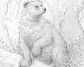 Original Graphite Bear Mossy Forest Drawing 8x10 Matted Fairytale Artwork