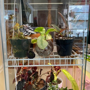 Detolf Shelf Kit includes 3 Shelves for DIY Ikea Greenhouse