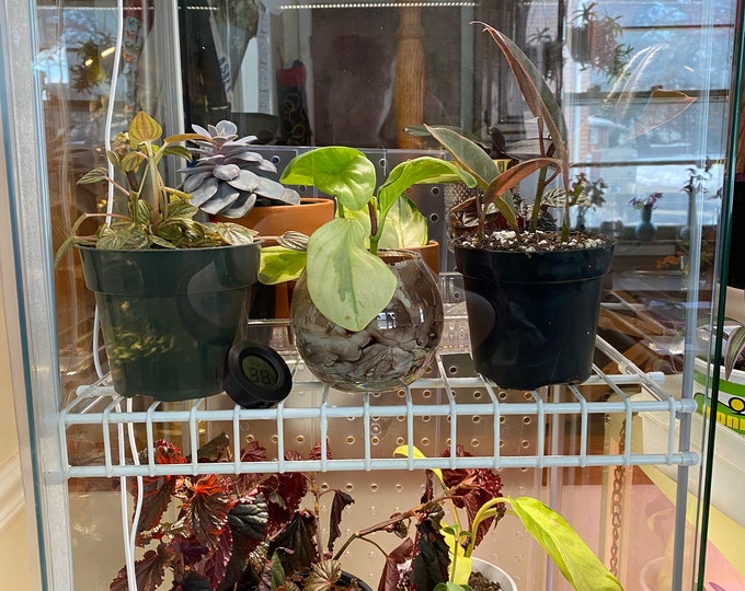 Detolf Shelf Kit includes 3 Shelves for DIY Ikea Greenhouse Etsy