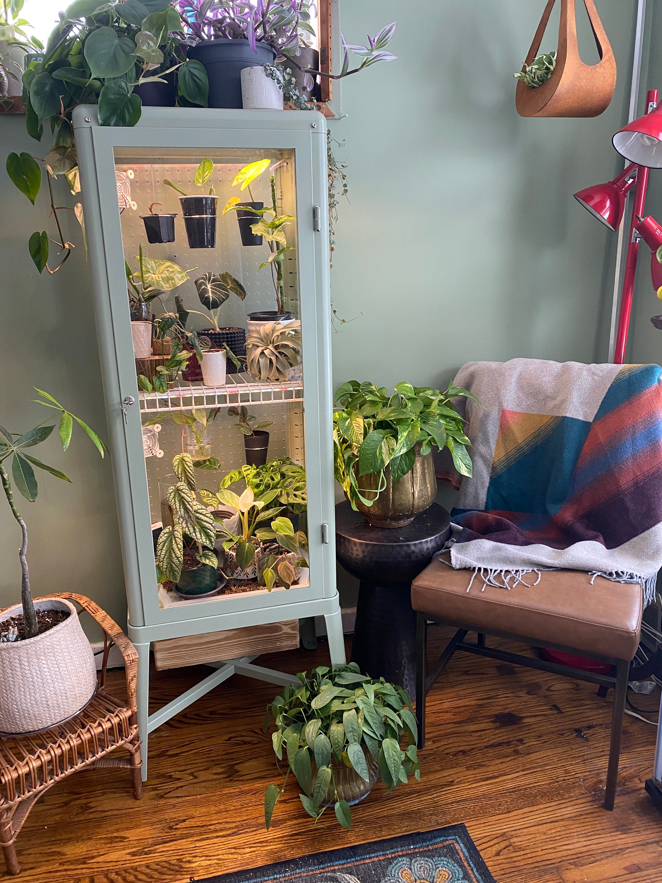 Transform Your Space IKEA’s Green House Collection