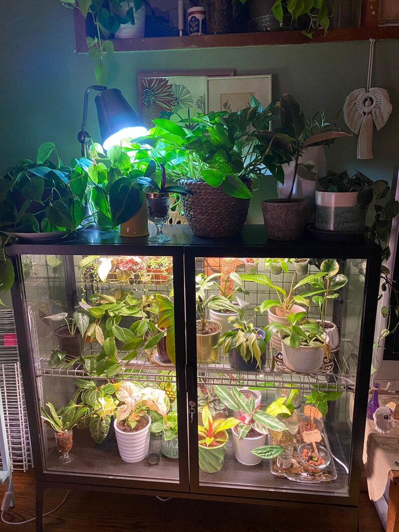 Wide Milsbo Shelf Kit for DIY Ikea Greenhouse Modification Etsy Canada