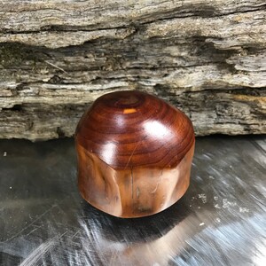 May include: A polished, rounded wooden object with a smooth, glossy finish. The wood displays a rich, deep brown color with visible natural grain patterns, concentric rings on the top surface, and a slightly irregular, organic shape throughout.