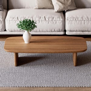 May include: A light gray rug with a wooden coffee table in the center. The table has a rectangular top and short legs. A small potted plant sits on the table.