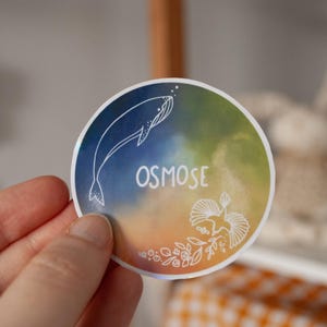 Stickers rond Osmose baleine oiseau nature