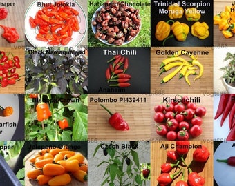 20 varieties of chili seeds Carolina Reaper, Bhut Jolokia, Habanero, Trinidad Scorpion Moruga, Peter Pepper, Chiltepin, Jalapeno. 10 pieces each