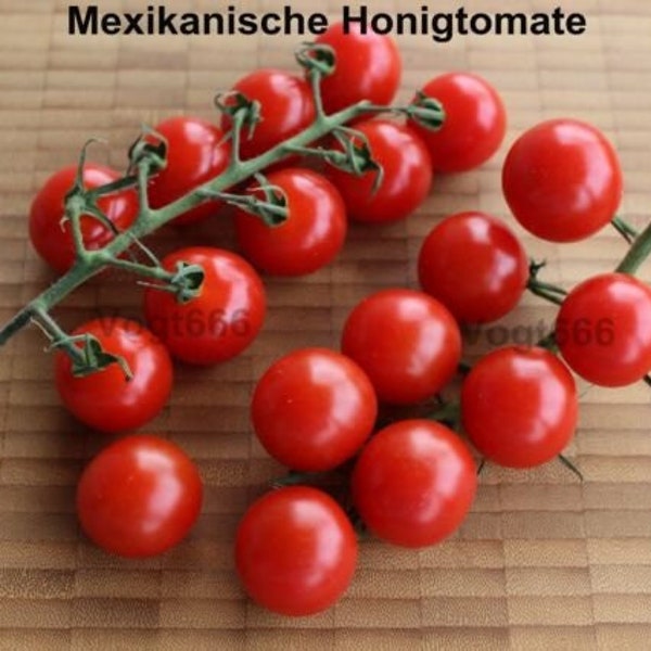 15 Mexikanische Honigtomaten Samen süße ertragreiche Sorte Miel de Mexique