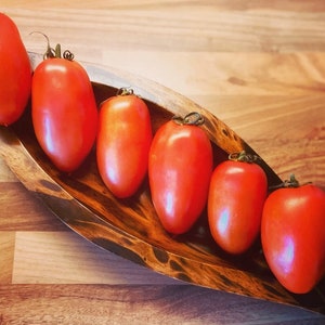 San Marzano Tomato Seeds Robuuste, hoogproductieve variëteit uit Italië Bottle Tomato Seeds