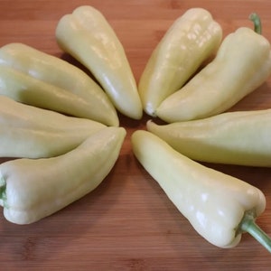 Hongaarse witte peper zaden zoete hoogproductieve variëteit peper zaden