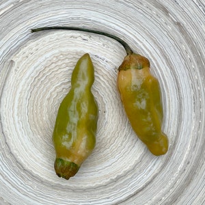 Może przedstawiać: Dwa zielone papryczki chili na białym, teksturowanym tle. Papryczki mają różne kształty i rozmiary.