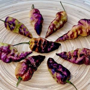Thors Thunderbolt Chili Seeds beautiful color play very hot Seeds
