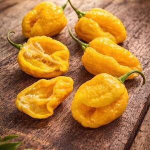 Semillas de Brainstrain 7 Pot, variedad de chile súper picante